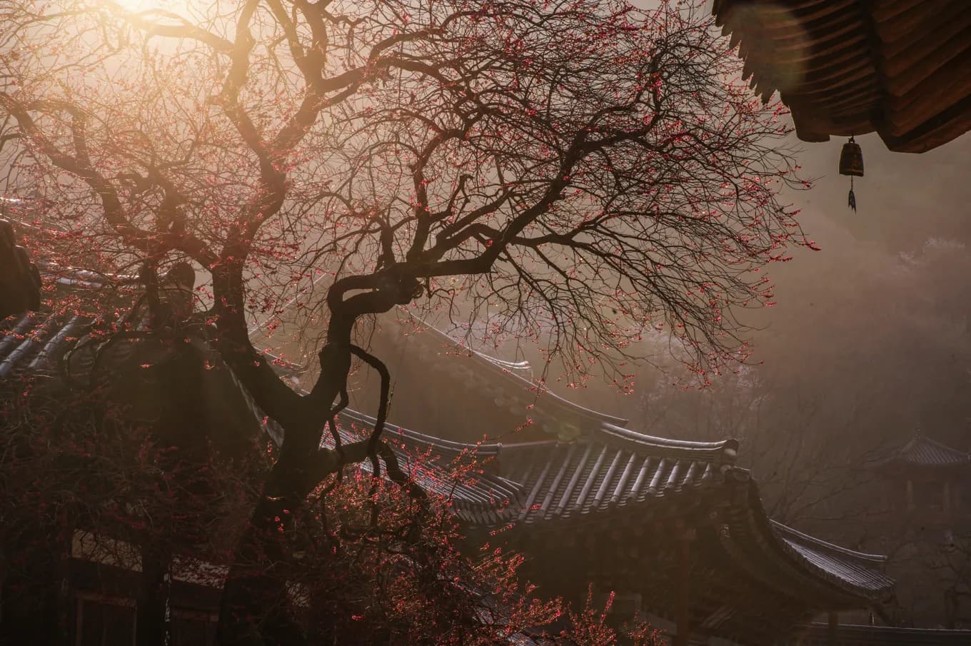 지리산 대 화엄사